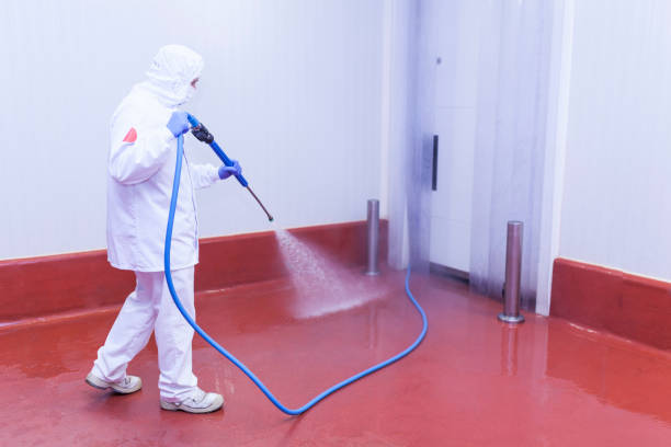 Best Factory Floor Cleaning  in Black Diamond, FL