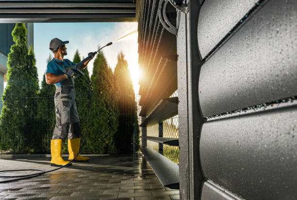 Best Animal Enclosure Cleaning  in Black Diamond, FL