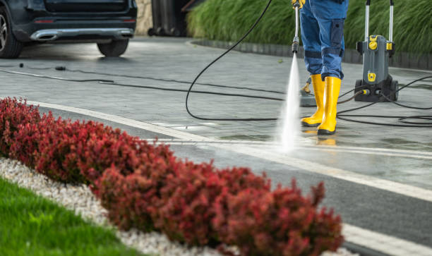 Best Dumpster Area Cleaning  in Black Diamond, FL
